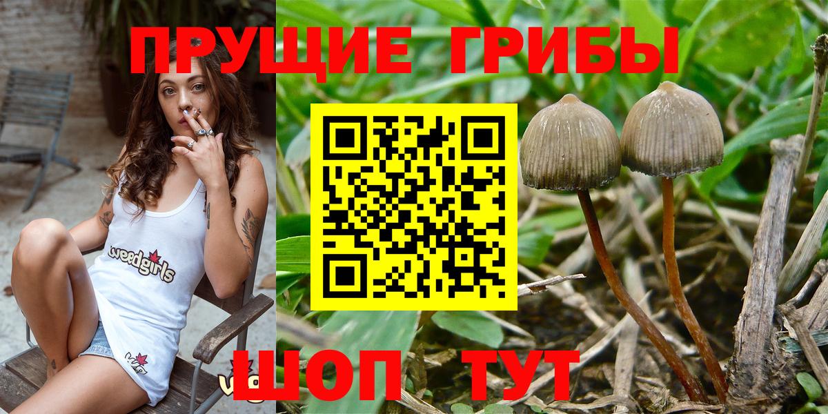 Бутират Губкин