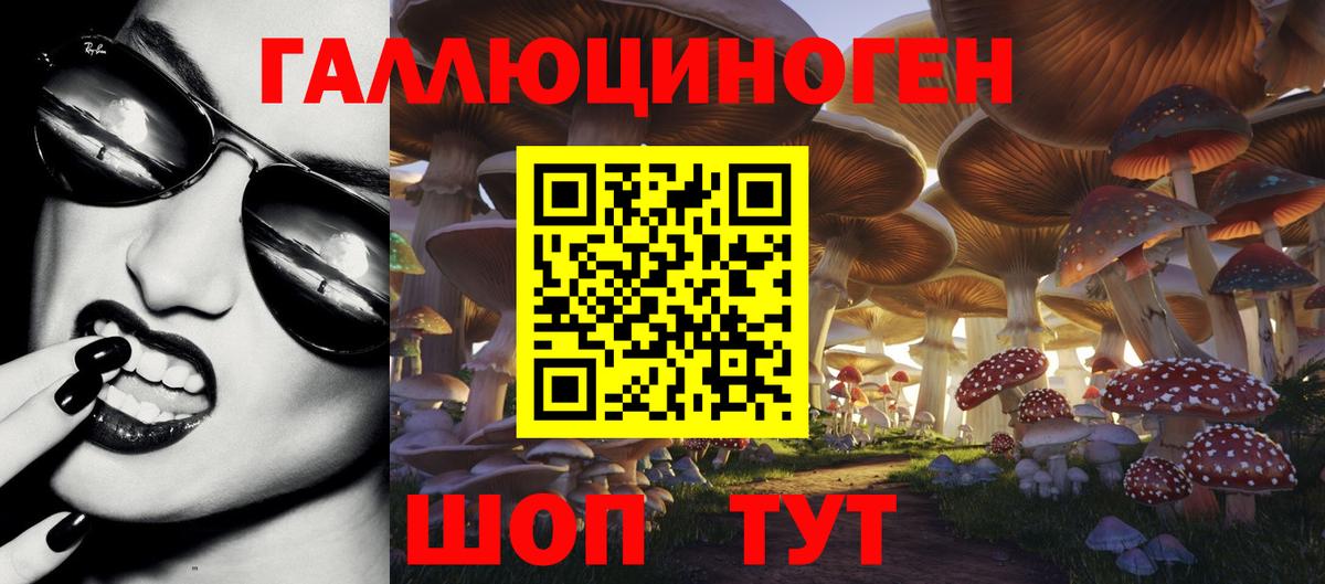 Губкин  Псилоцибиновые грибы MAGIC MUSHROOMS  Псилоцибиновые грибы MAGIC MUSHROOMS  Вход с VPN 
